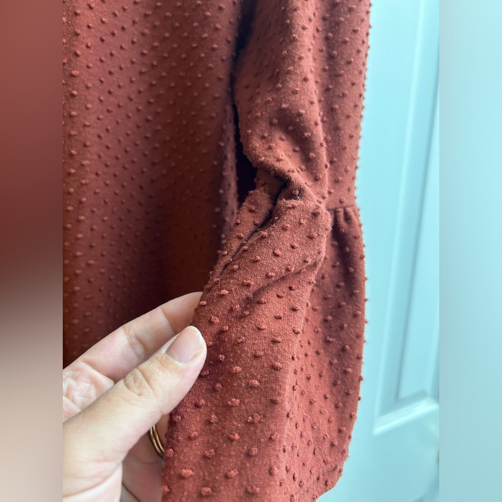 W5 rust blouse. Perfect for fall! - Picture 4 of 5